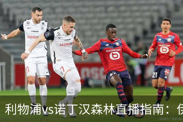 利物浦vs诺丁汉森林直播指南：伊拉奥拉安菲尔德首秀，预测红军3-1取胜